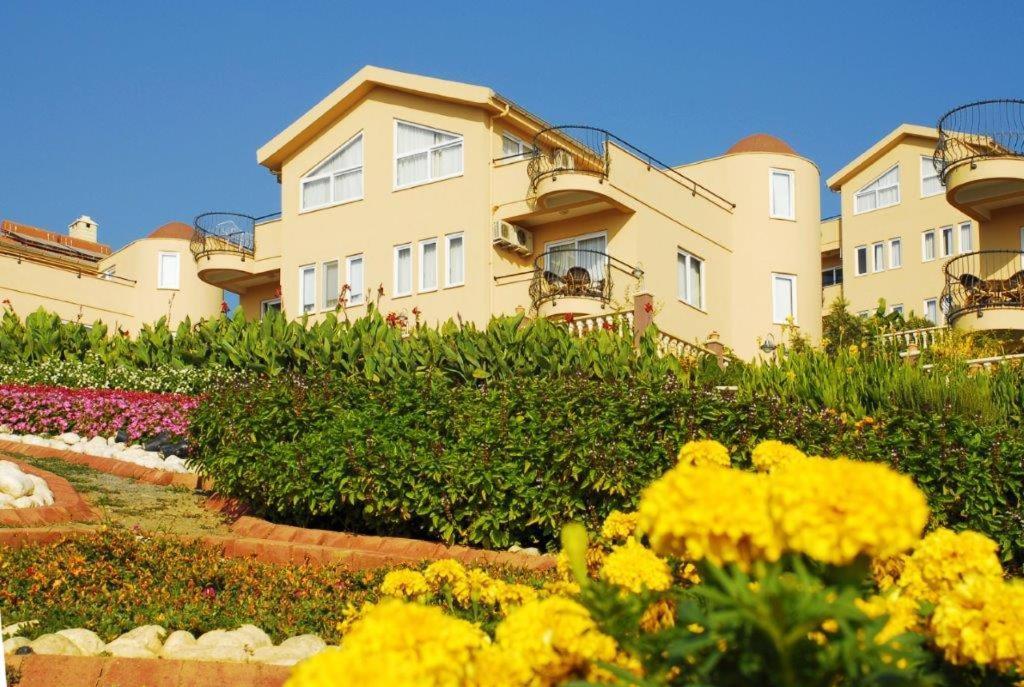 אלאניה Goldcity Hotel מראה חיצוני תמונה
